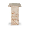 Asha Console