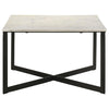 Tobin Coyote Coffee Table