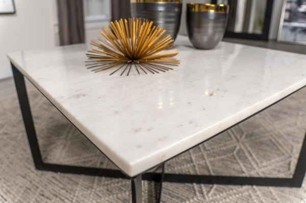 Tobin Coyote Coffee Table