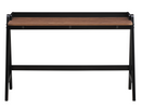 Ryall 50" Desk w/ USB Port