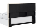 Upholstered Queen Headboard, Sand