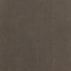 Shagreen Desk
