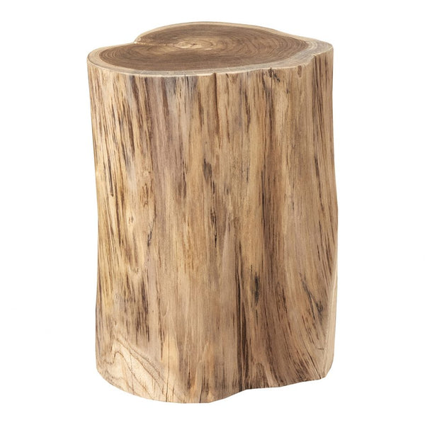 Ottis Teak End Table