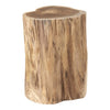 Ottis Teak End Table