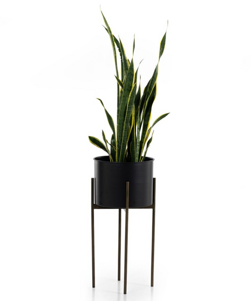 Jed Planter